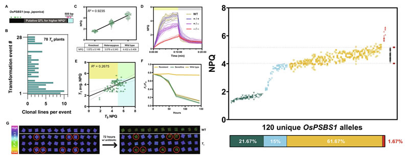 圖124061001s.jpg 圖124061001s.jpg