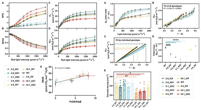 圖324061001s.jpg 圖324061001s.jpg