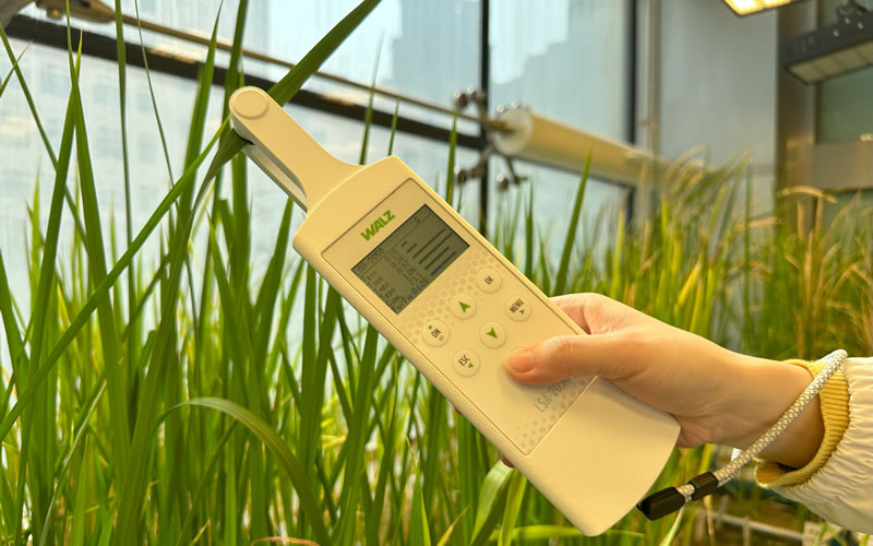 圖1324031202.jpg 圖1324031202.jpg