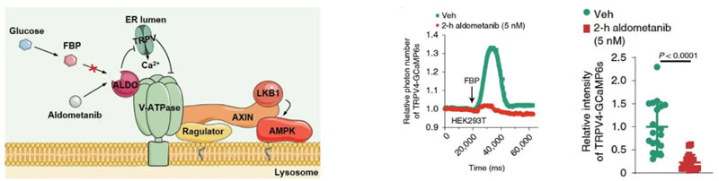 rayme4.jpg rayme4.jpg