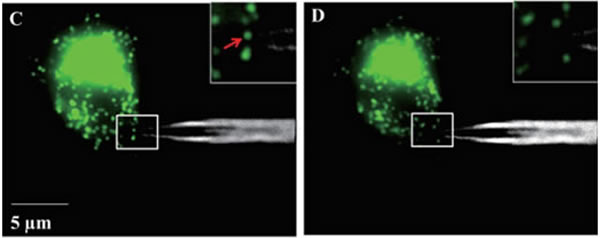rayme5.jpg rayme5.jpg