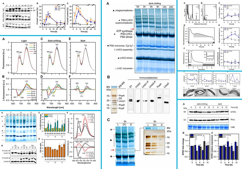 圖224061201s.jpg 圖224061201s.jpg