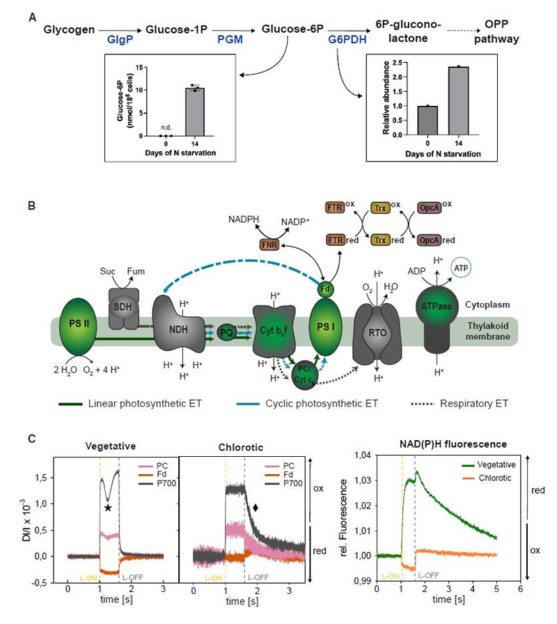 圖124120401.jpg 圖124120401.jpg