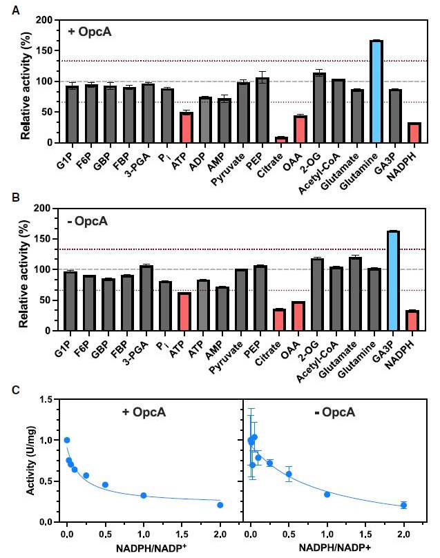 圖224120401.jpg 圖224120401.jpg