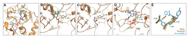 圖424120401.jpg 圖424120401.jpg