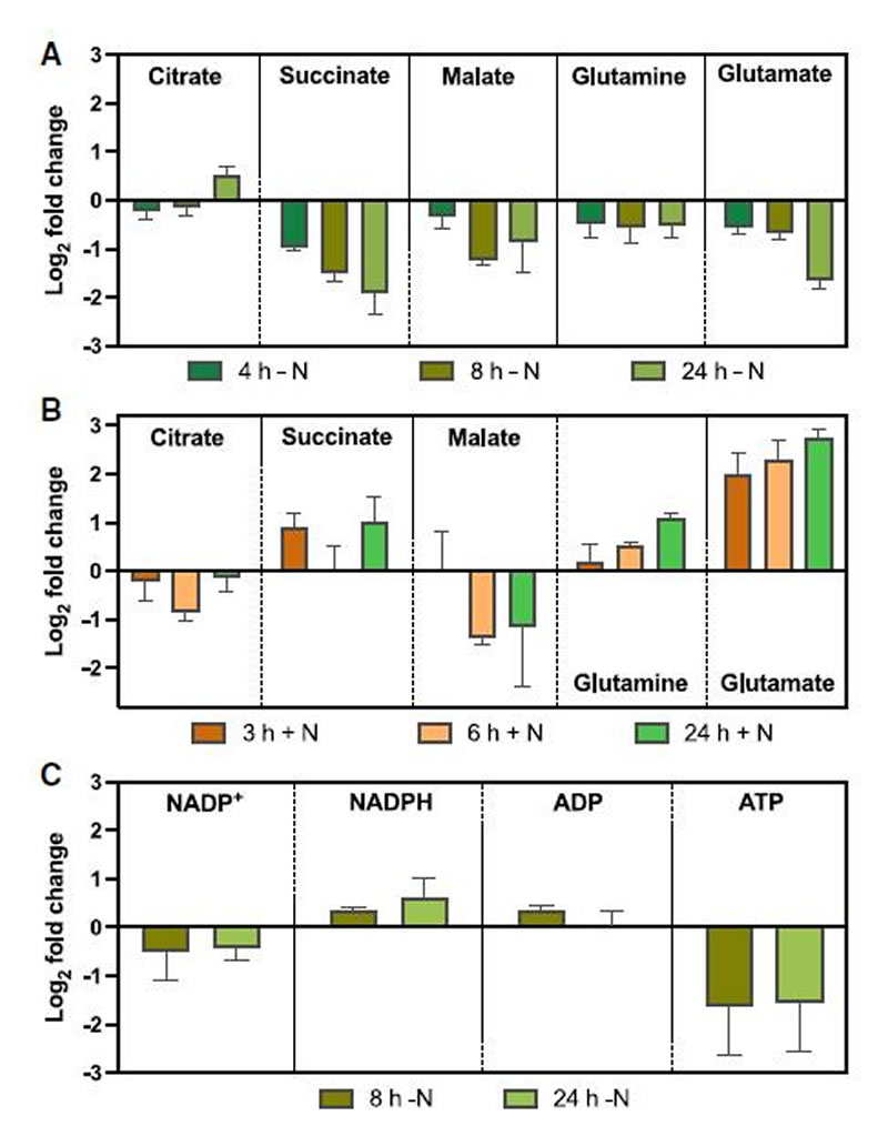 圖524120401.jpg 圖524120401.jpg