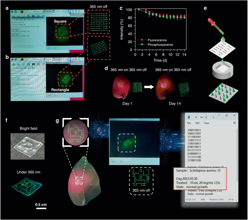 圖524090301.jpg 圖524090301.jpg