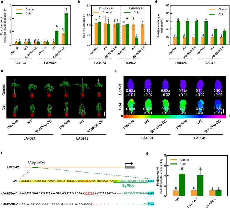 圖624080801.jpg 圖624080801.jpg