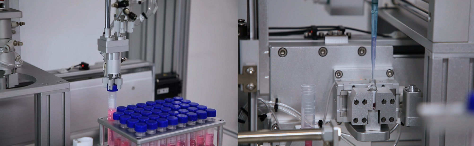 圖片2.png 圖片2.png