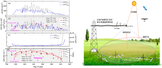 圖片5.png 圖片5.png