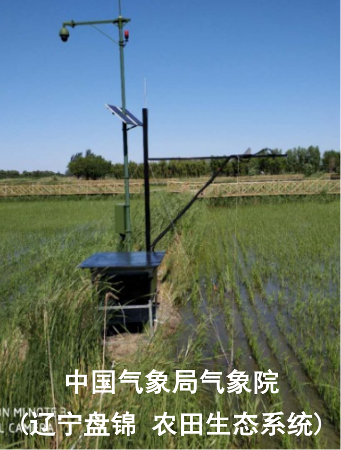 圖片13.png 圖片13.png