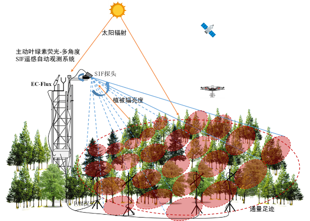 圖片3.png 圖片3.png