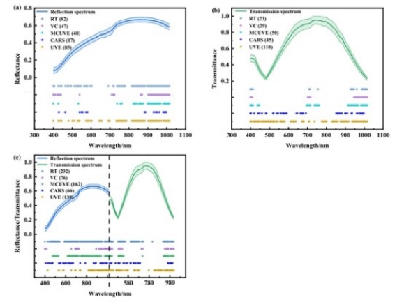 圖片11.png 圖片11.png