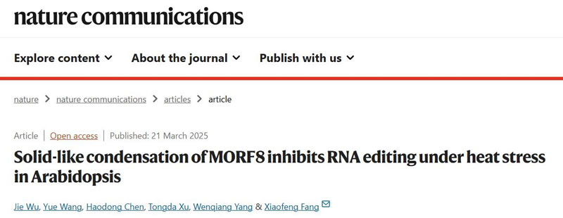 圖025032401.jpg 圖025032401.jpg