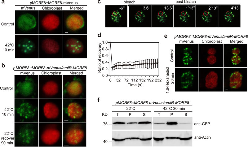 圖125032401s.jpg 圖125032401s.jpg