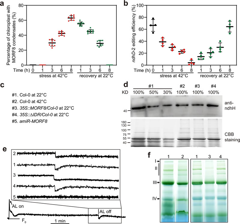 圖625032401s.jpg 圖625032401s.jpg