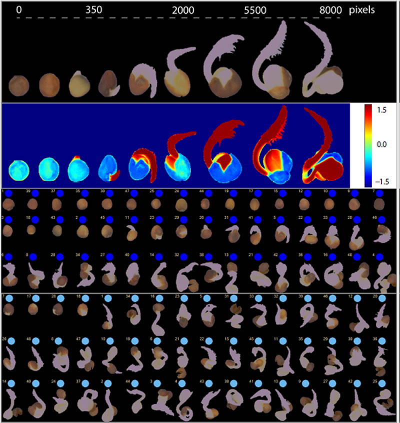 圖825033102.jpg 圖825033102.jpg