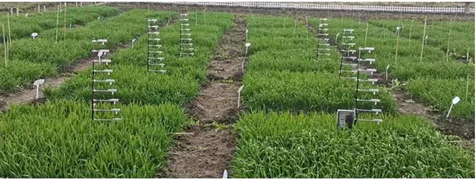 圖片5.png 圖片5.png