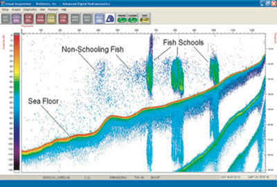 ECHO-USV-DTX31.jpg ECHO-USV-DTX31.jpg