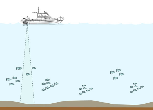 ECHO-USV-DTX62.jpg ECHO-USV-DTX62.jpg