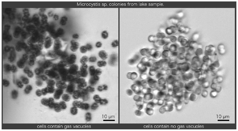圖325062402.jpg 圖325062402.jpg