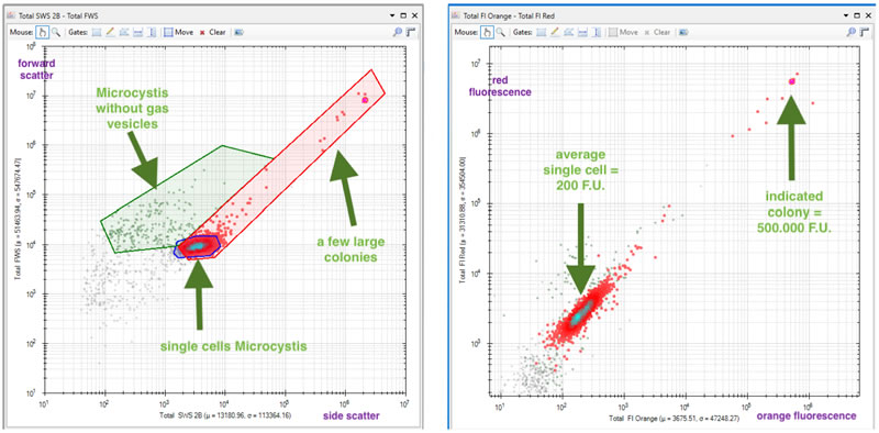 圖625062402.jpg 圖625062402.jpg