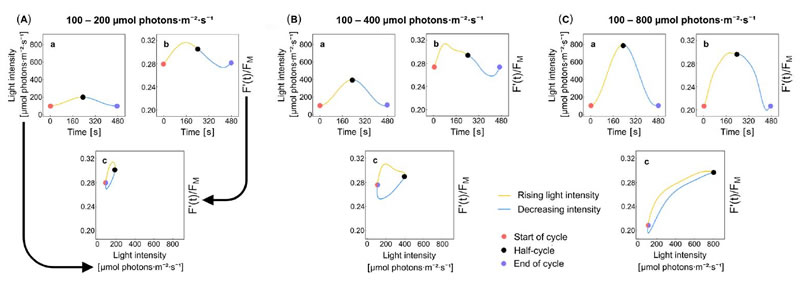 圖125080601.jpg 圖125080601.jpg