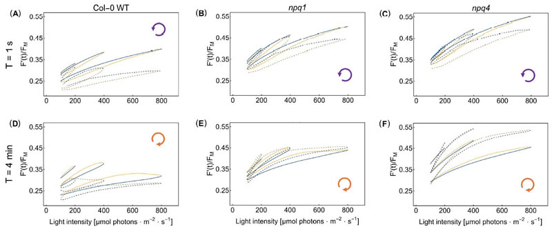 圖525080601.jpg 圖525080601.jpg
