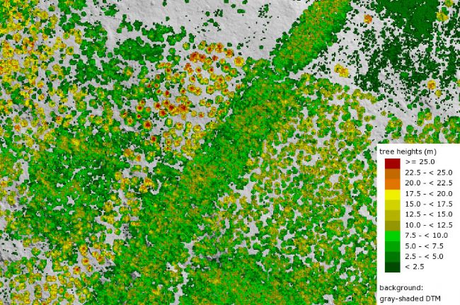 2019072459050408.jpg 2019072459050408.jpg