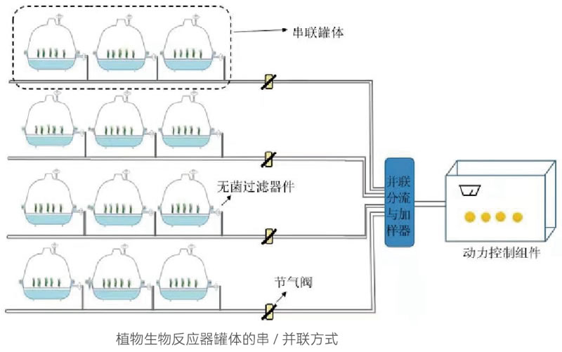 BioF25081202.jpg BioF25081202.jpg