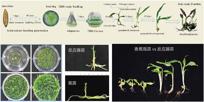 BioF25081204.jpg BioF25081204.jpg