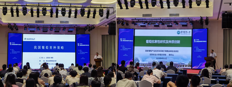 圖325090801.jpg 圖325090801.jpg