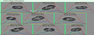 圖片12.png 圖片12.png