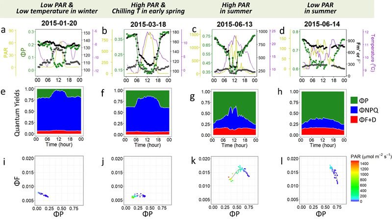 圖625091101.jpg 圖625091101.jpg