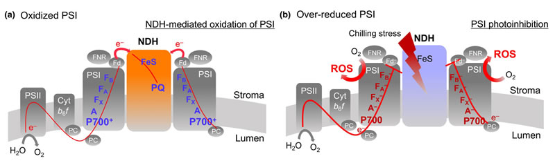 圖125091901.jpg 圖125091901.jpg