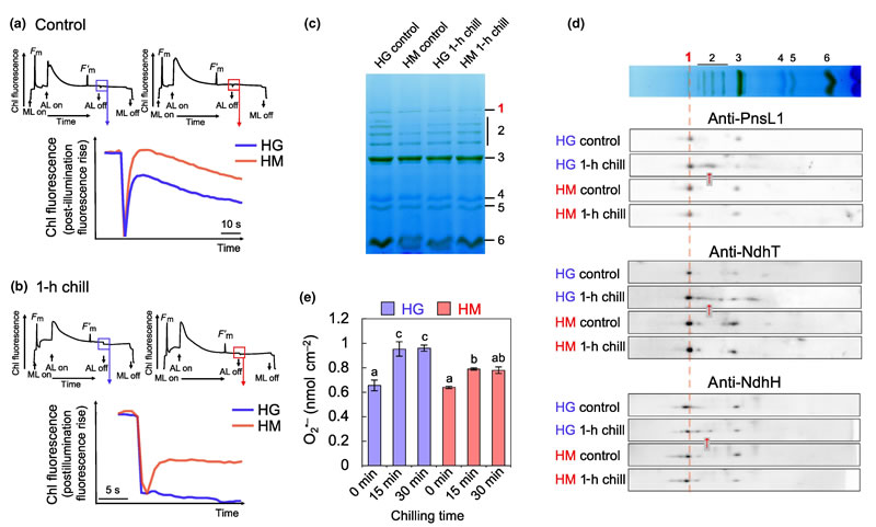 圖325091901.jpg 圖325091901.jpg