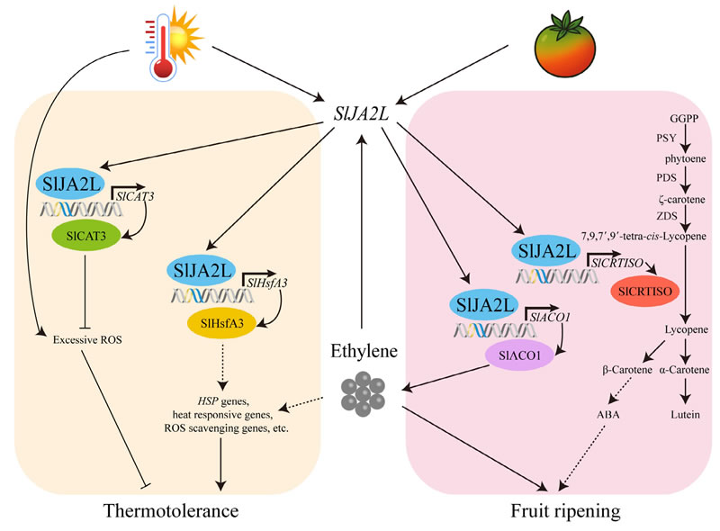 圖525091901.jpg 圖525091901.jpg