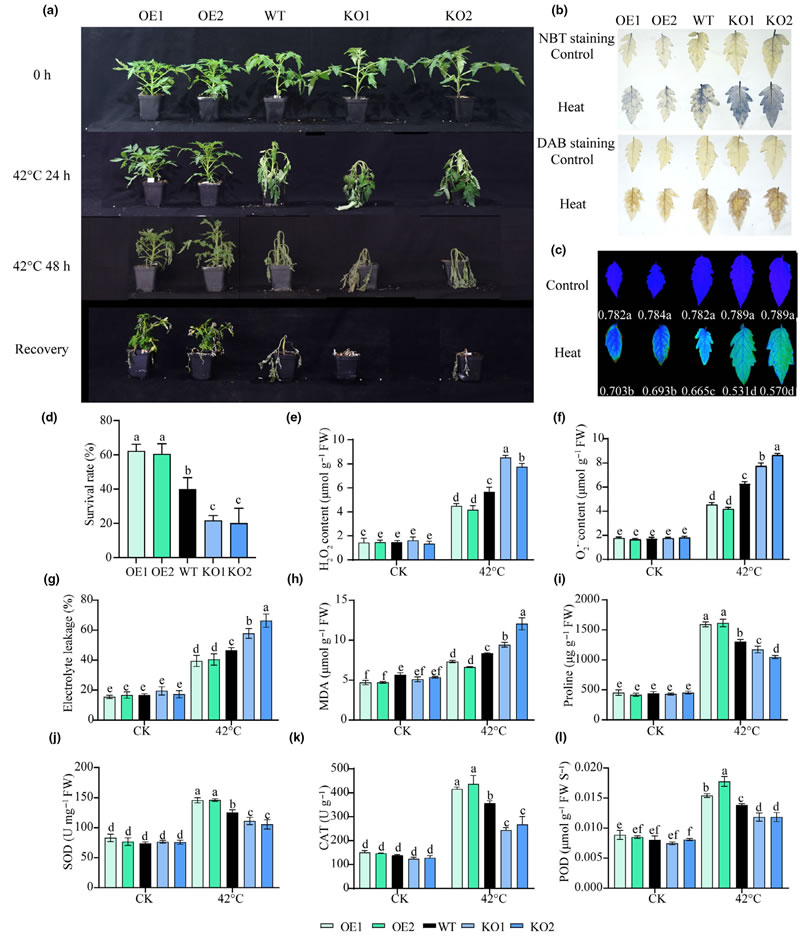 圖625091901.jpg 圖625091901.jpg