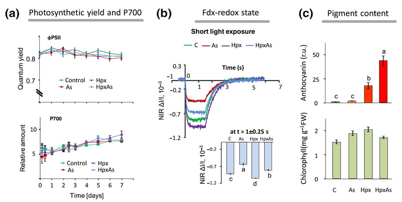 @4 2018-Kumar-Plant Cell and Environment-8.jpg @4 2018-Kumar-Plant Cell and Environment-8.jpg