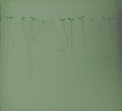 圖片5.png 圖片5.png