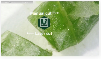 圖片4.jpg 圖片4.jpg